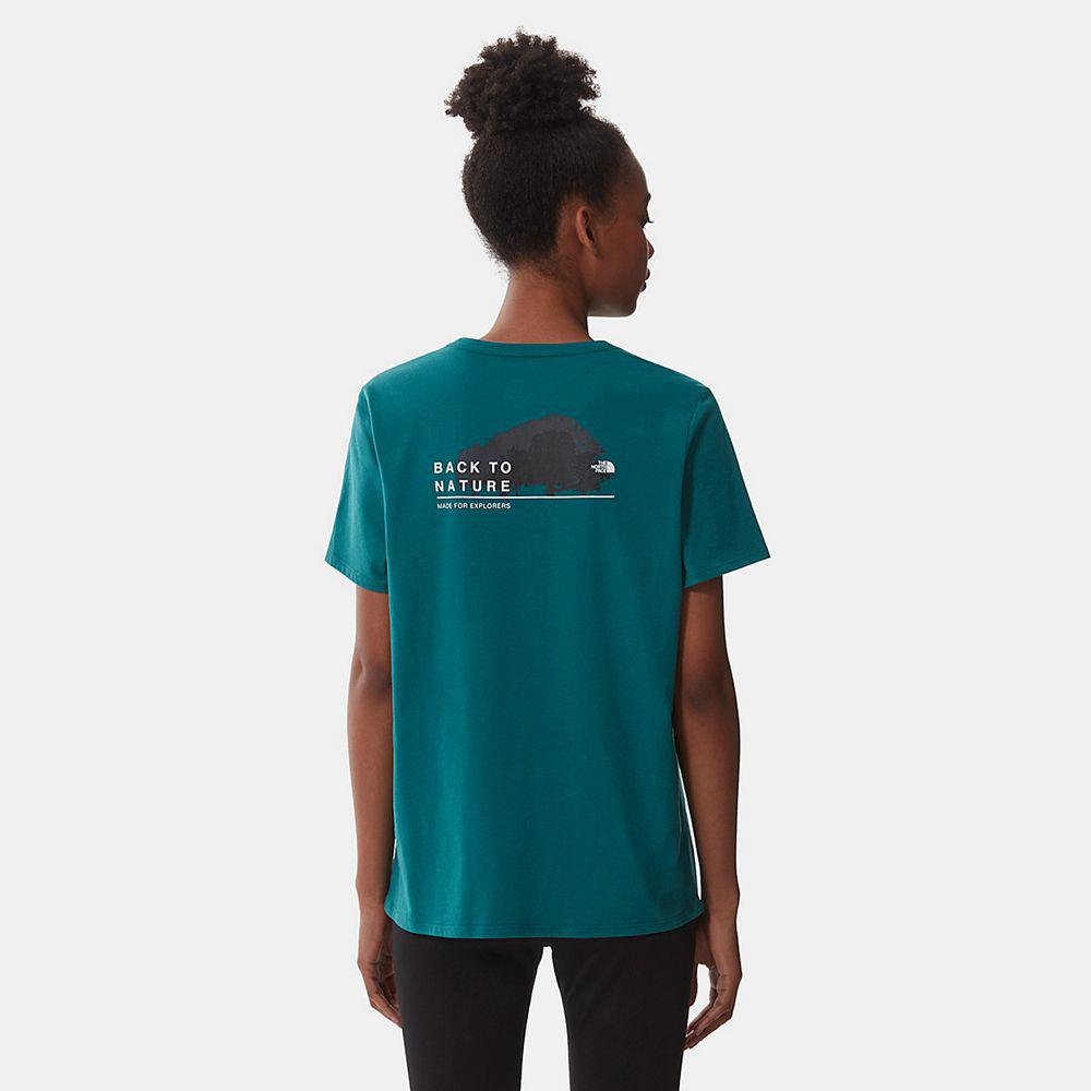The North Face Foundation Graphic Γυναικεια T Shirt - Μπλε (SDIL15390)